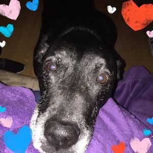 Meet your Posher, Cindy